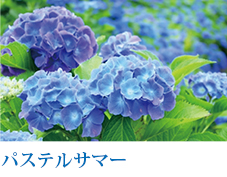 パステルサマーイメージ画像""