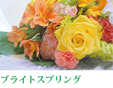 ブリリアントウインターイメージ画像