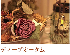 ディープオータムイメージ画像